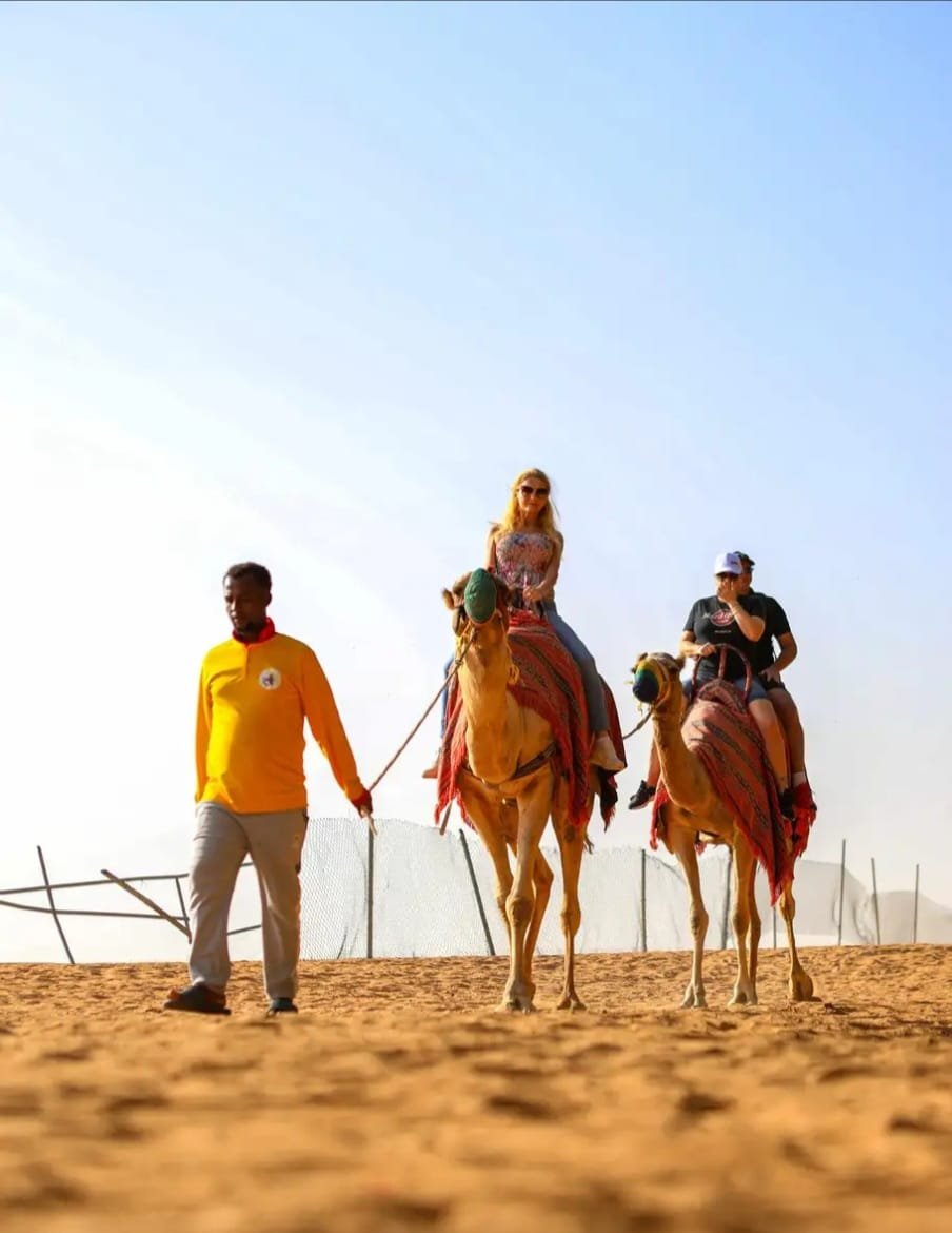 Camel Ride