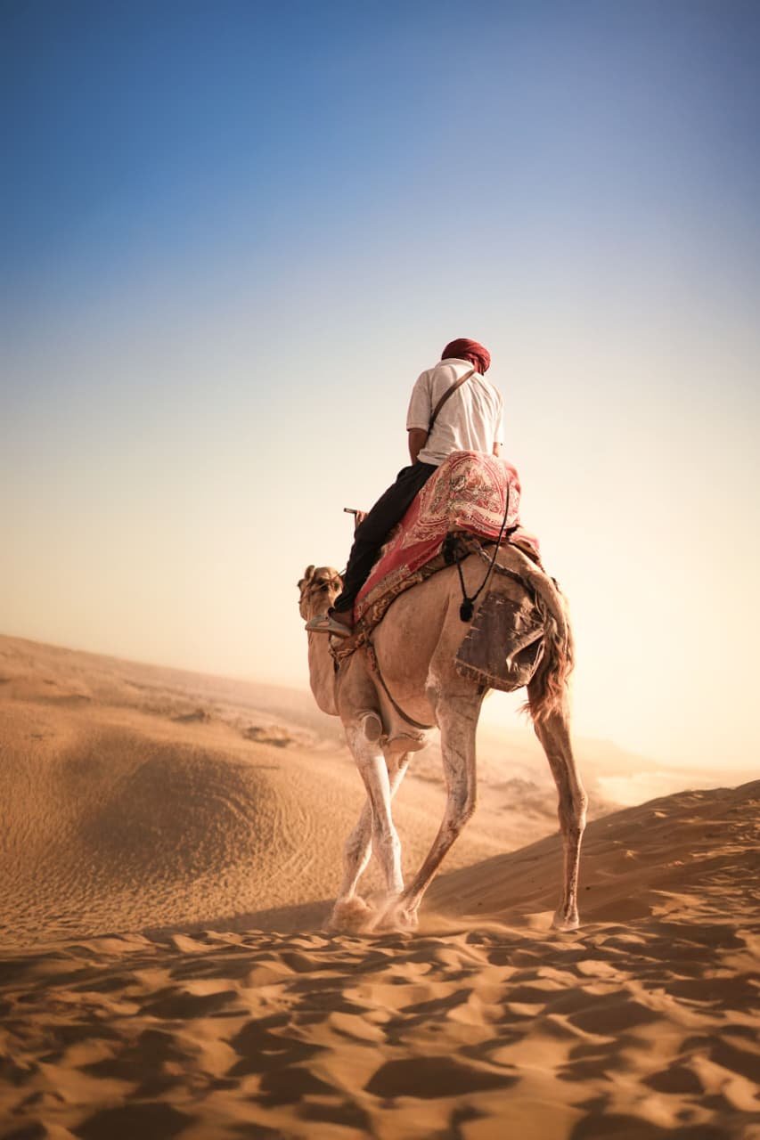 Private Morning Desert Safari